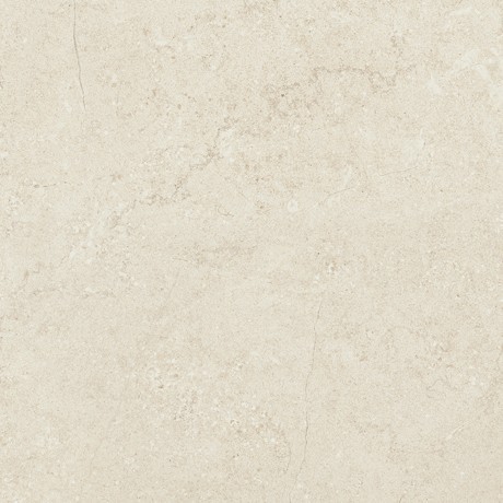 CONCRETE BONE 44.7x44.7