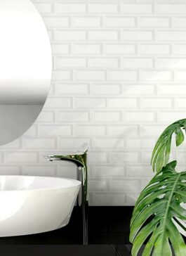 SENA WHITE 30X60